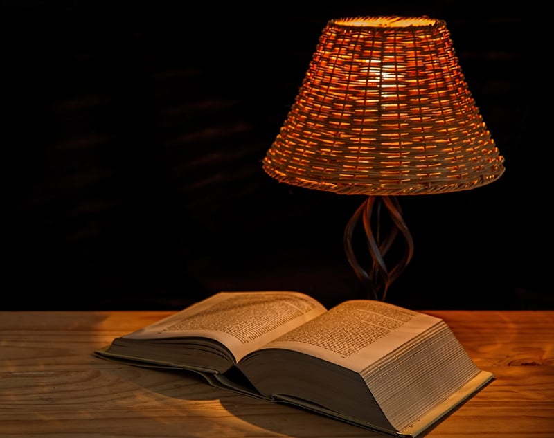 Firefly Insect Lamp Lights